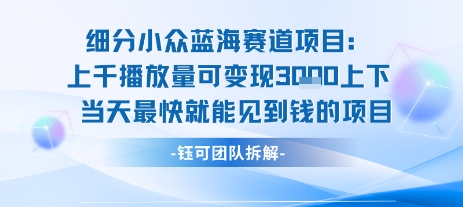 小众蓝海赛道项目：当天变现1k+适合新手操作 +适合长期玩-稀缺资源库