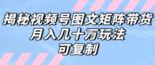 解密视频号图文矩阵带货，月入几个W的打法，可复制-稀缺资源库