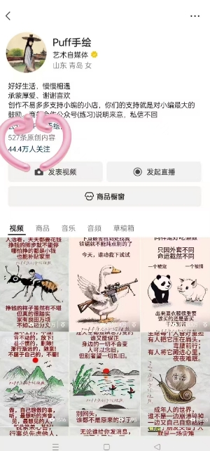 Puff手绘视频号分成项目，三天过分成计划，简单易上手，适合新手-稀缺资源库