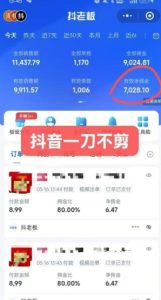 抖音短视频一刀不剪带货，不剪辑，不直播，每天发个视频，等着出单获取带货佣金-稀缺资源库