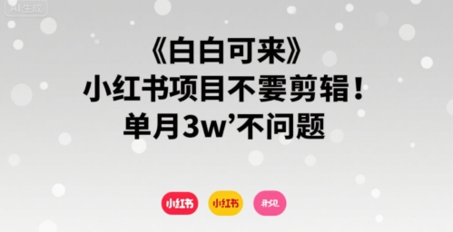 小白可来 小红书项目不需要剪辑 单月3w不是问题-稀缺资源库