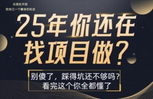 25年,你还在疯狂的找项目吗?别傻了,看完这个你都懂了【揭秘】-稀缺资源库