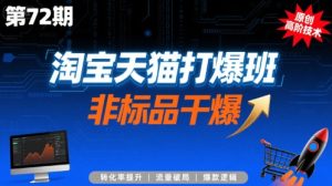 淘宝天猫打爆班原创高阶技术第72期,非标品干爆-稀缺资源库