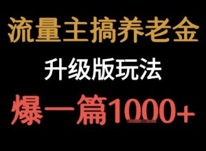 流量主之养老金升级版玩法  爆一篇收益1k+-稀缺资源库
