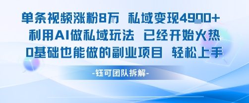 单条视频私域变现4.9k+利用AI做私域玩法 已经开始火热0基础也能做的副业项目轻松上手-稀缺资源库