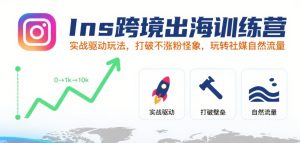 Ins跨境出海训练营,实战驱动玩法,打破不涨粉怪象,玩转社媒自然流量-稀缺资源库