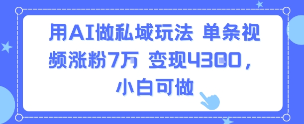 用AI做私域玩法，单条视频涨粉7W变现4.3k，小白可做-稀缺资源库