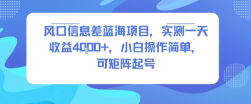 风口信息差蓝海项目，实测一天收益4k+，小白操作简单，可矩阵起号-稀缺资源库