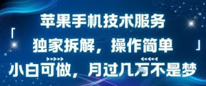 苹果手机技术服务，独家拆解，操作简单，小白可做，月过1W不是梦-稀缺资源库