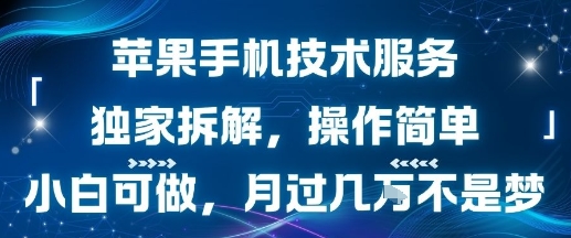 苹果手机技术服务，独家拆解，操作简单，小白可做，月过1W不是梦-稀缺资源库