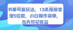 书单号新玩法，13条视频变现5位数，小白操作简单，当天可见收益-稀缺资源库