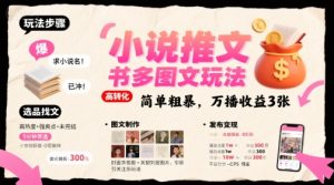 小说推文小红书多图文玩法，简单粗暴，万播收益3张-稀缺资源库