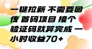 一键拉新 不需要回传 首码项目 接个验证码就算完成 一小时收益70+【揭秘】-稀缺资源库