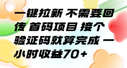 一键拉新 不需要回传 首码项目 接个验证码就算完成 一小时收益70+【揭秘】-稀缺资源库