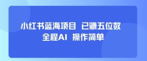 小红书蓝海项目,全程AI,操作简单,已挣五位数-稀缺资源库