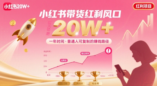 一年时间靠小红书带货项目年入20w+，最不能错的大红利项目-稀缺资源库