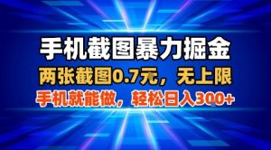 手机截图暴力掘金,两张截图0.7米,一部手机就能做,轻松日入3张+【揭秘】-稀缺资源库