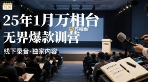 25年1月万相台无界爆款特训营线下录音-稀缺资源库