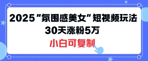 不露脸也能火！2025“氛围感美女”短视频玩法，30天涨粉5W小白可复制-稀缺资源库