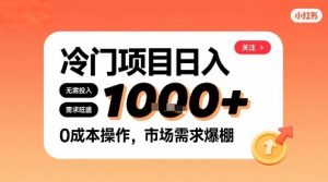在小红书上发现个冷门路子,需求不小,零成本操作,每天能有1k进账-稀缺资源库
