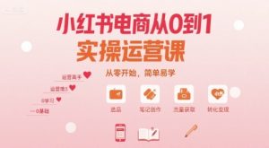 小红书电商从0到1实操运营课,从零开始,简单易学-稀缺资源库