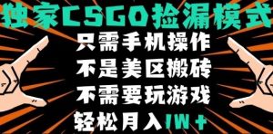 CSGO自动捡漏项目,最新独家玩法,不是美区搬砖,不需要了解和玩游戏,新手小白轻松月入1W+【揭秘】-稀缺资源库