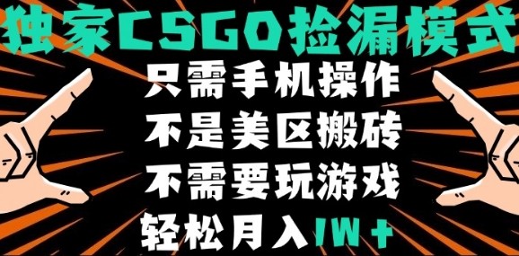 CSGO自动捡漏项目，最新独家玩法，不是美区搬砖，不需要了解和玩游戏，新手小白轻松月入1W+【揭秘】-稀缺资源库