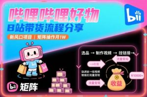 哔哩哔哩好物,B站带货流程分享,新风口项目,矩阵操作月1W-稀缺资源库