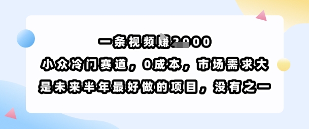 一条视频挣1k，小众冷门赛道，0成本，市场需求大，是未来半年最好做的项目，没有之一-稀缺资源库
