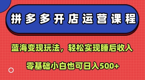 拼多多开店运营课程：蓝海变现玩法，轻松实现睡后收入，零基础小白也可日入5张-稀缺资源库