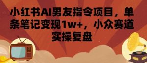 小红书AI男友指令项目,单条笔记变现1w+,小众赛道实操复盘-稀缺资源库