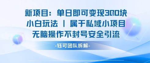 新项目单日即可变现3张的小白玩法无脑操作不封号安全引流-稀缺资源库