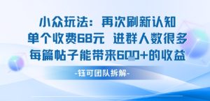小众玩法再次刷新认知单个收费68米进群人数很多每篇帖子能带来6张的收益-稀缺资源库