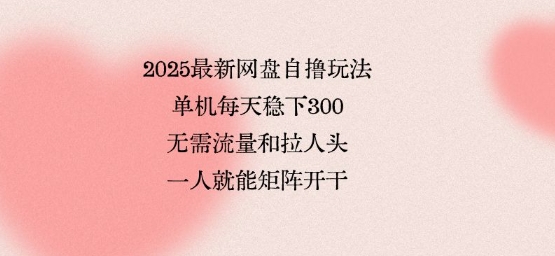 2025最新网盘自撸玩法，单机每天稳下3张，无需流量和拉人头，一个人就可轻松矩阵，全网独一份【揭秘】-稀缺资源库