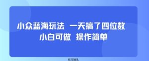 小众蓝海玩法 一天搞了四位数 小白可做 操作简单-稀缺资源库