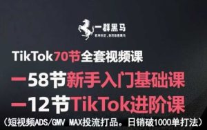 TikTok全套视频课，新手入门+进阶课，短视频ADS-GMV MAX投流打品，日销破1000单打法-稀缺资源库