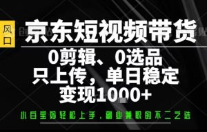 你出账号，我来运营，保底日入1k+，开启躺賺模式【揭秘】-稀缺资源库