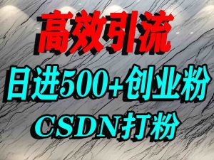 怎么打创业粉？CSDN又一个你不知道的打粉引流神秘平台，单人日引500+精准流量-稀缺资源库
