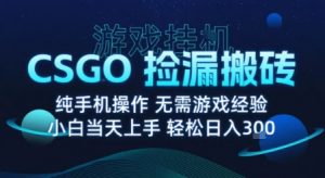 8月最新游戏搬砖,CSGO纯挂G,不需要玩游戏,实现真挂G,月入1W+【揭秘】-稀缺资源库