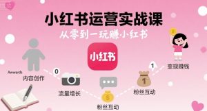 小红书运营实战课，从零到一玩賺小红书-稀缺资源库