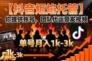 【抖音炬焰托管】你提供账号,团队代运营发视频,单号月入1k+【揭秘】-稀缺资源库