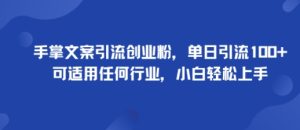 手掌文案引流创业粉,单日引流100+,可适用任何行业,小白轻松上手-稀缺资源库