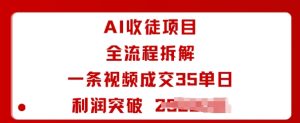 AI收徒项目全流程拆解一条视频成交35单日利润突破1k+-稀缺资源库