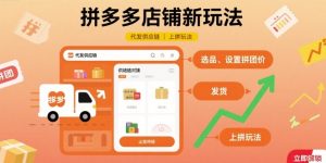 拼多多店铺新玩法，代发供应链上拼玩法-稀缺资源库