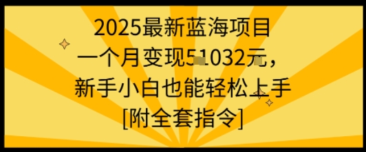2025最新蓝海项目一个月变现1w+新手小白也能轻松上手【附全套指令】-稀缺资源库