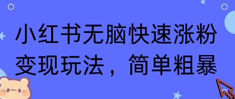 小红书无脑快速涨粉变现玩法，简单粗暴-稀缺资源库