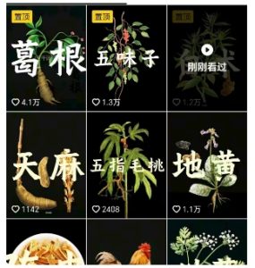抖音中草药赛道，用AI做中草药故事视频，45条作品涨粉13W，橱窗带货猛猛出单-稀缺资源库