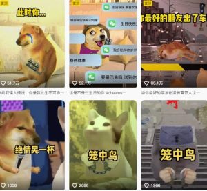 狗头幸运星UE5动画全套课程,从入门到实操全掌握-稀缺资源库