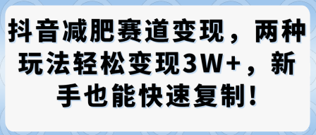 抖音减肥赛道变现，两种玩法轻松变现3W+，新手也能快速复制-稀缺资源库