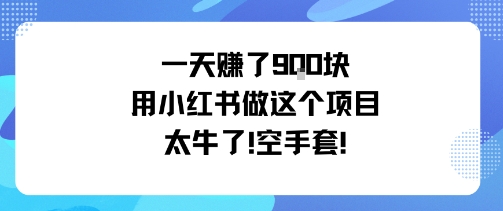 一天挣了9张用小红书做这个项目太牛了，空手套-稀缺资源库